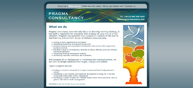 Pragma Consultancy's website: what we do page